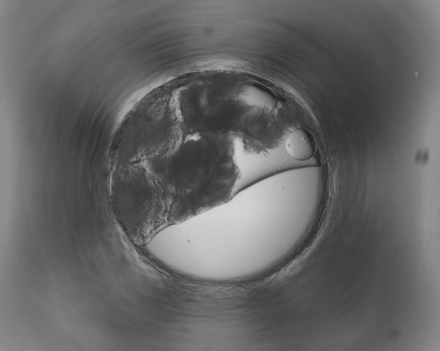 X0000111821117200907231017