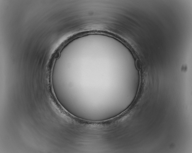 X0000111821118200907231017