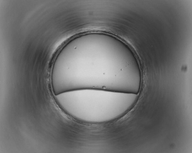 X0000111821119200907231017