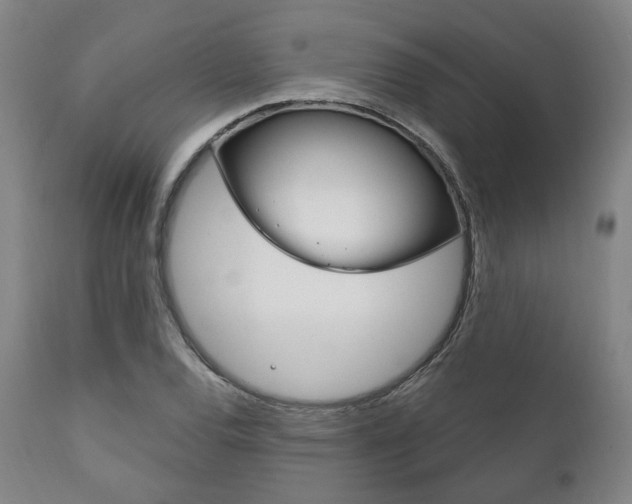 X0000111821120200907231017