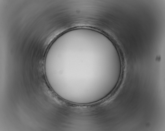 X0000111821121200907231017