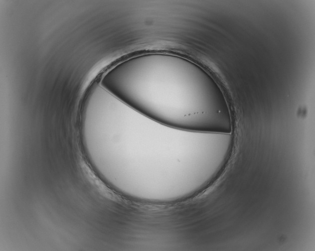 X0000111821122200907231017