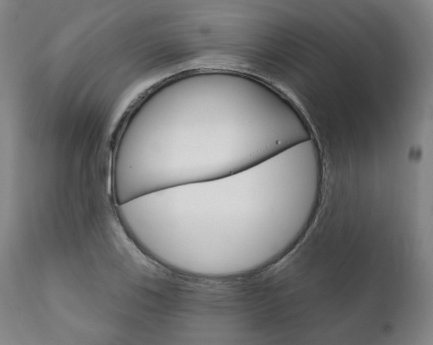 X0000111821123200907231017