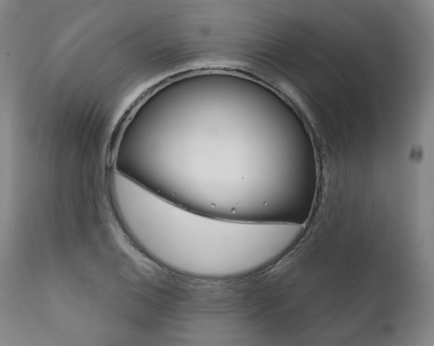 X0000111821124200907231017