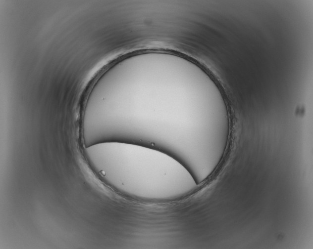X0000111821126200907231017