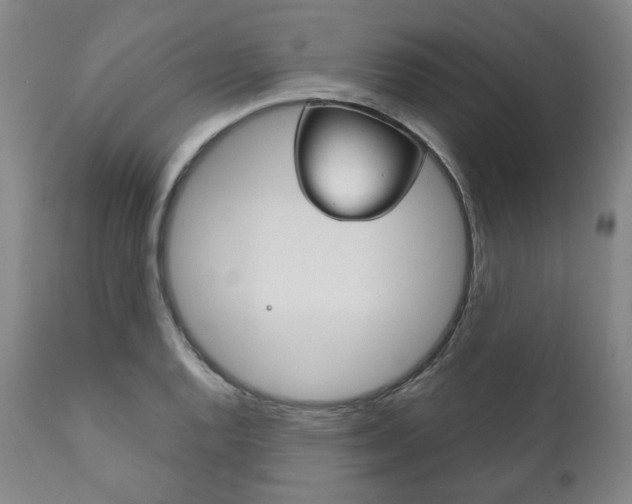 X0000111821128200907231017