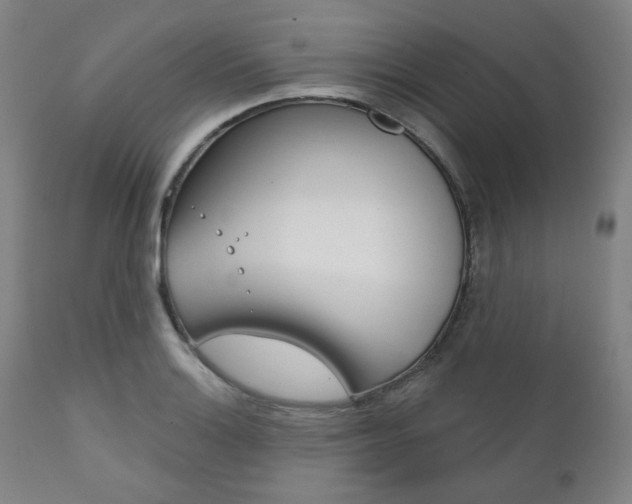 X0000111821132200907231017