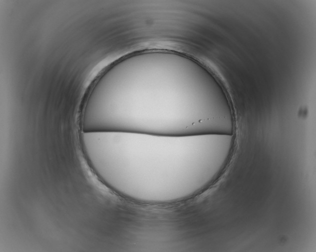 X0000111821133200907231017
