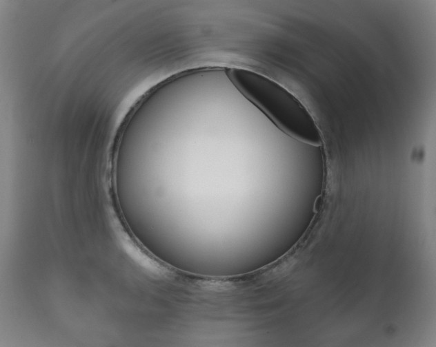 X0000111821136200907231018