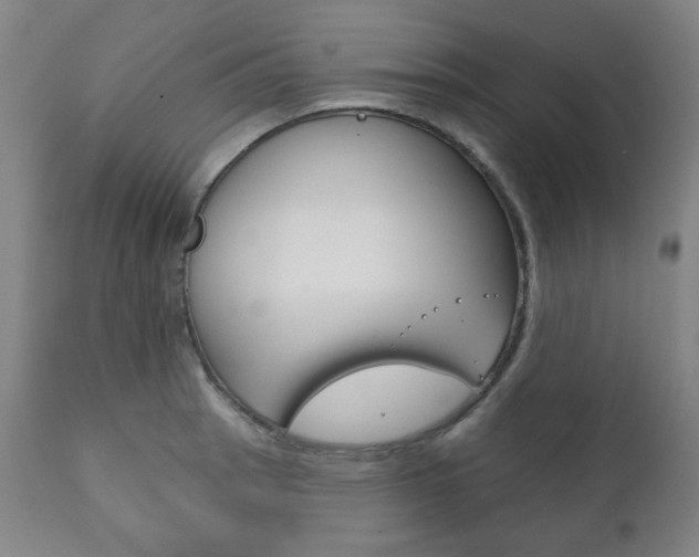 X0000111821137200907231018