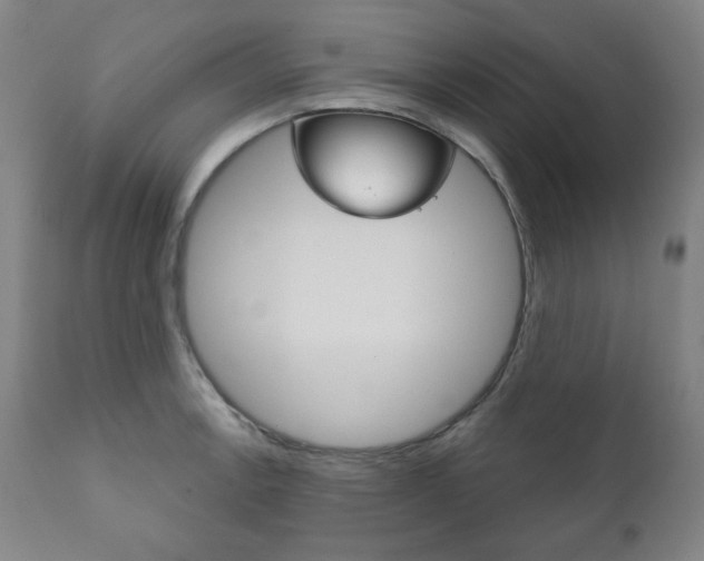 X0000111821138200907231018