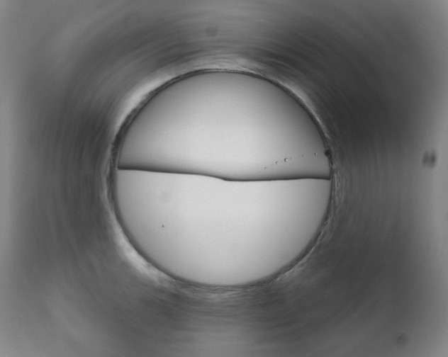 X0000111821139200907231018