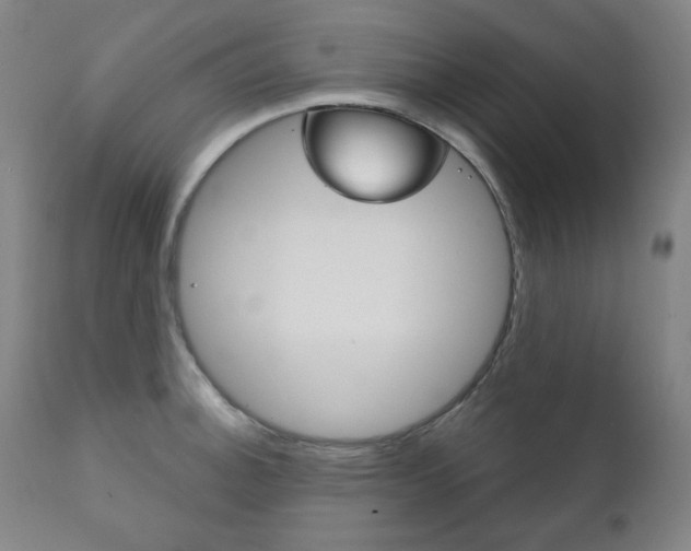 X0000111821140200907231018