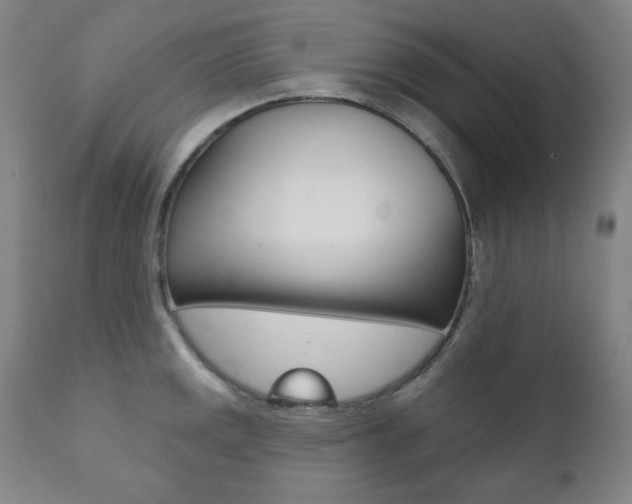 X0000111821141200907231018