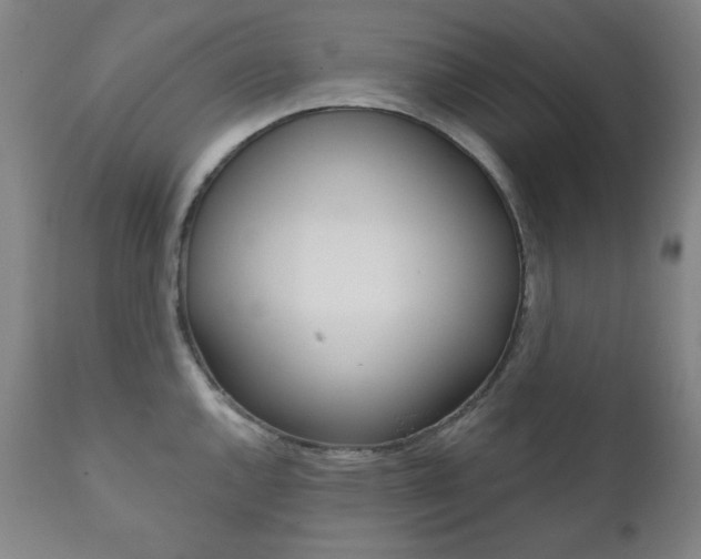 X0000111821144200907231018