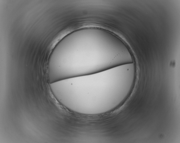 X0000111821145200907231018