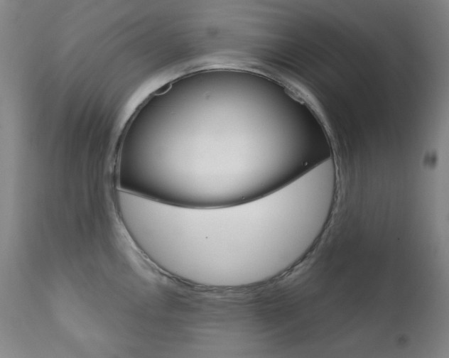 X0000111821146200907231018