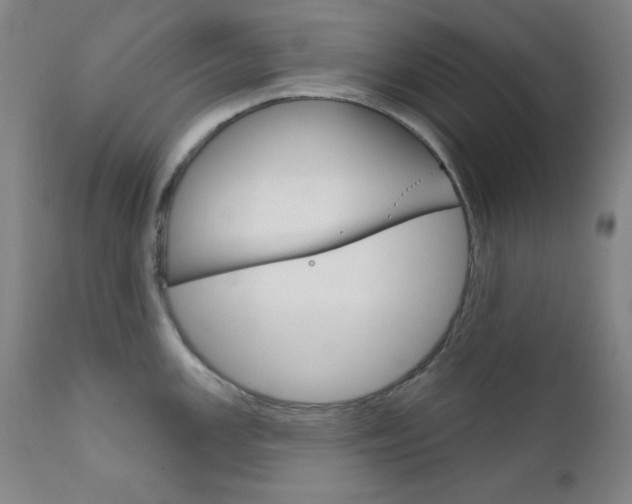 X0000111821147200907231018