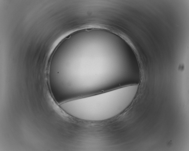 X0000111821148200907231018