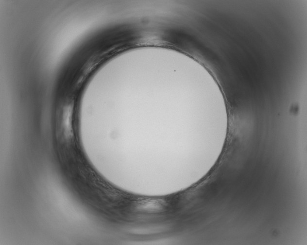 X0000111821150200907231018