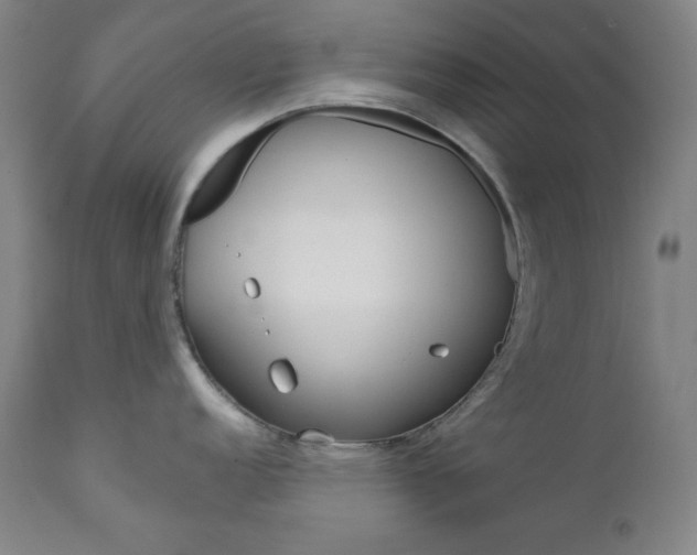 X0000111821152200907231018