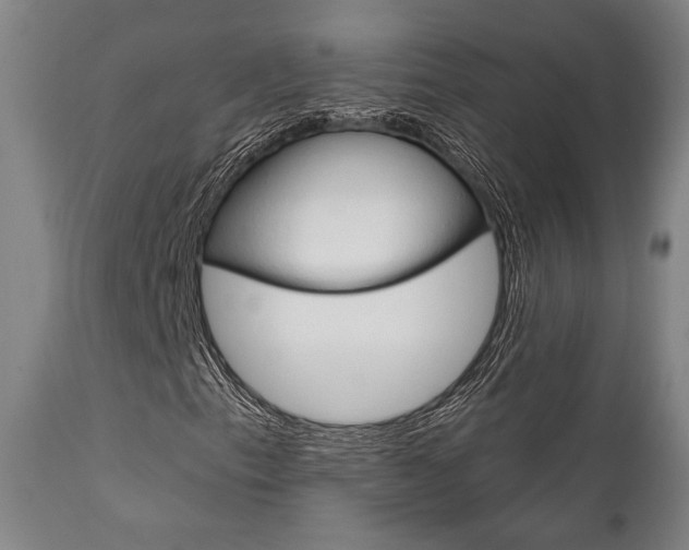 X0000111821153200907231017