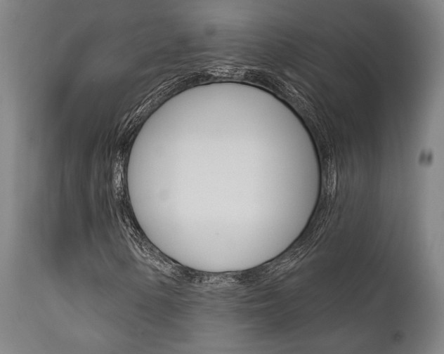 X0000111821154200907231017