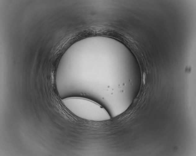 X0000111821155200907231017