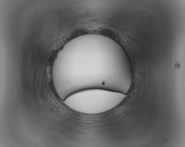 X0000111821156200907231017