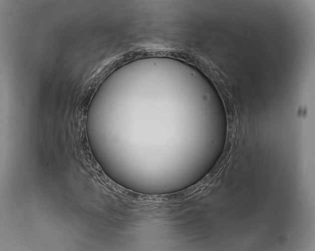 X0000111821157200907231017