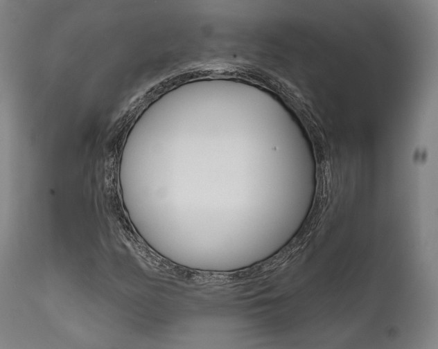X0000111821158200907231017