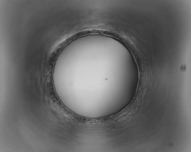 X0000111821159200907231017