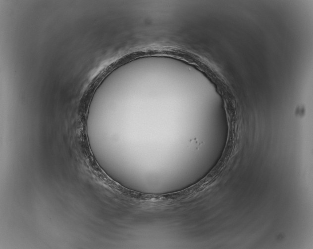 X0000111821160200907231017