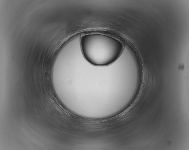 X0000111821161200907231017
