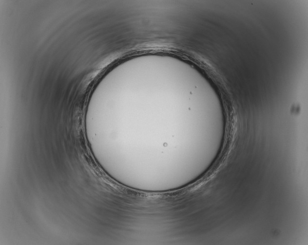 X0000111821162200907231017