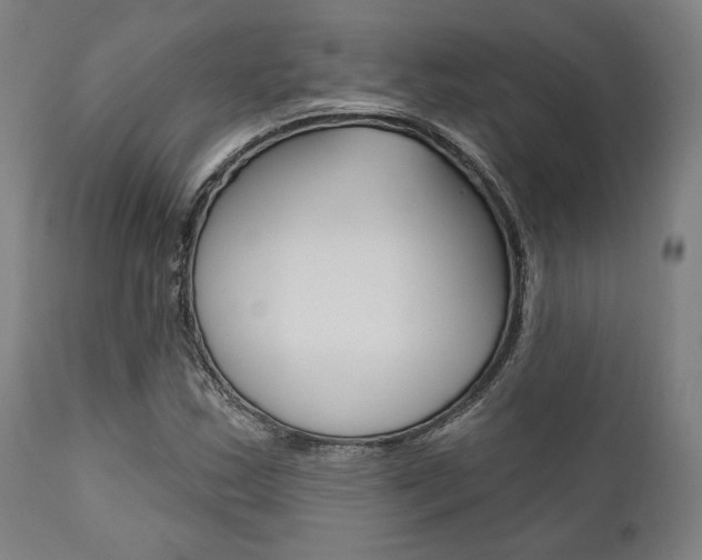 X0000111821163200907231017