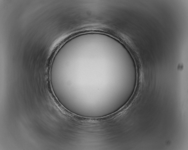 X0000111821164200907231017