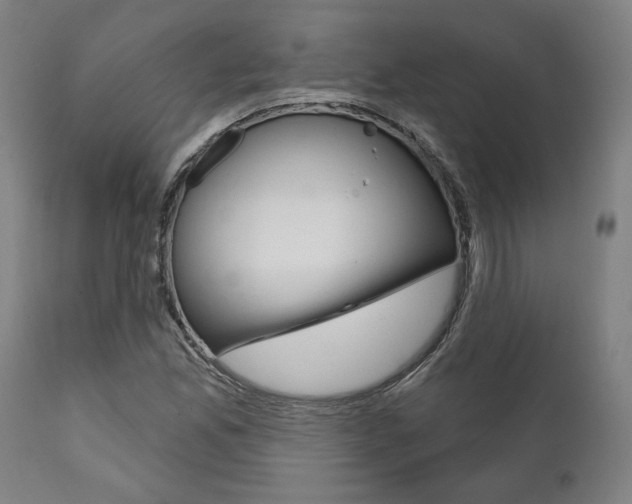 X0000111821165200907231017