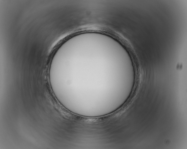 X0000111821166200907231017