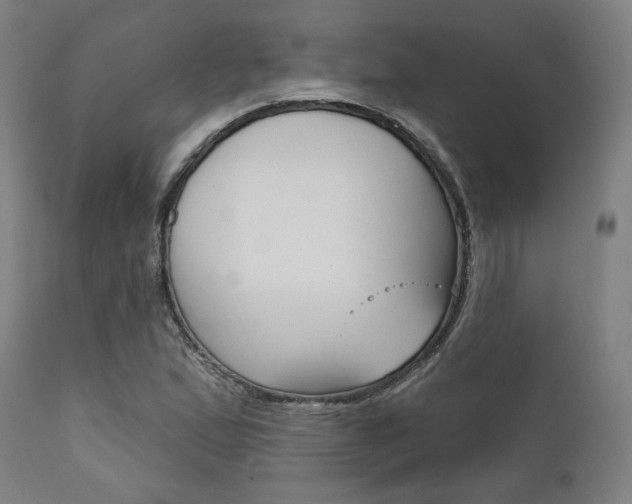 X0000111821167200907231017