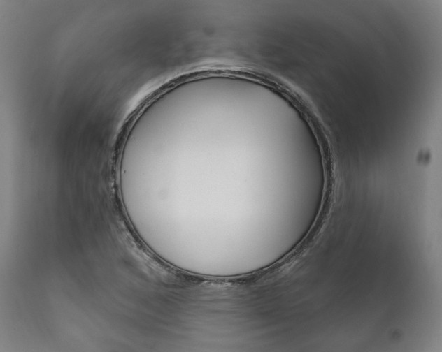 X0000111821168200907231017