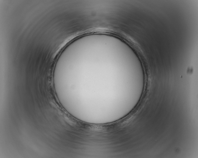 X0000111821170200907231017