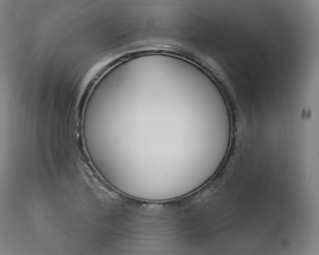 X0000111821172200907231017