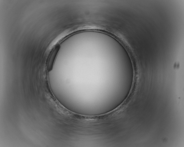 X0000111821173200907231017