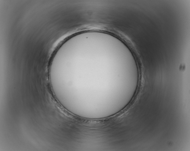 X0000111821174200907231017