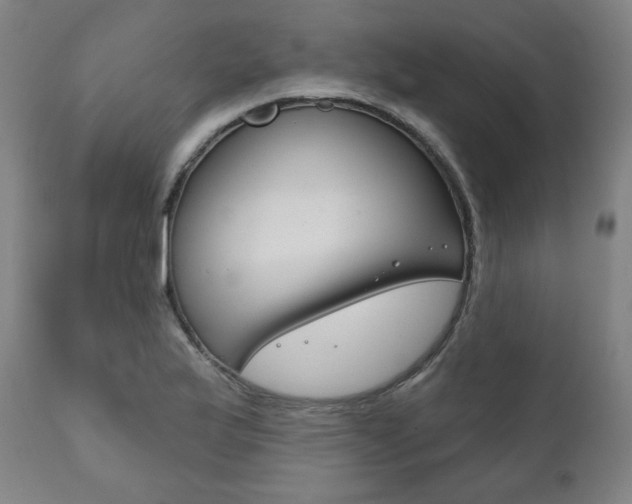X0000111821175200907231017