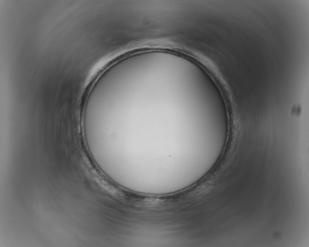 X0000111821176200907231017