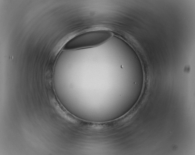 X0000111821177200907231016