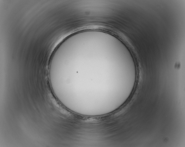 X0000111821178200907231016