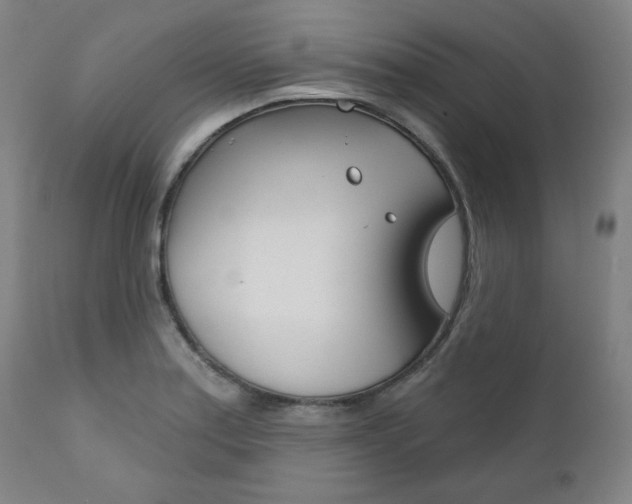X0000111821179200907231016